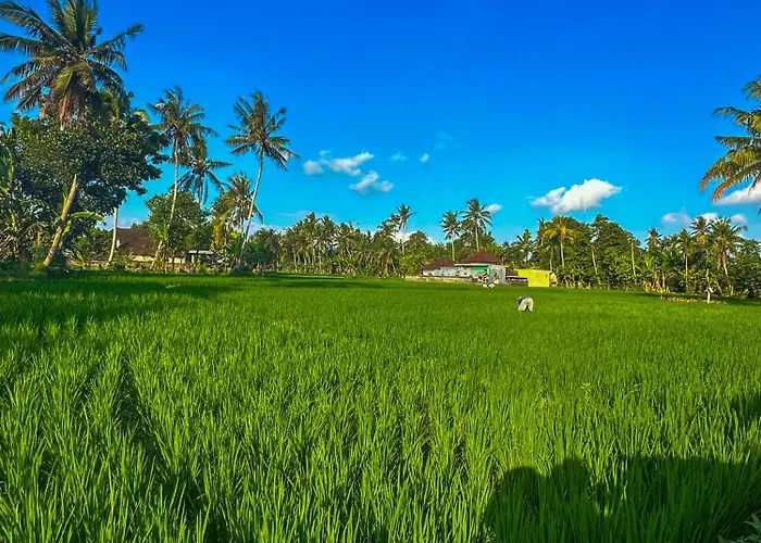 Nunu Bali Eco Friendly Retreat Hotel