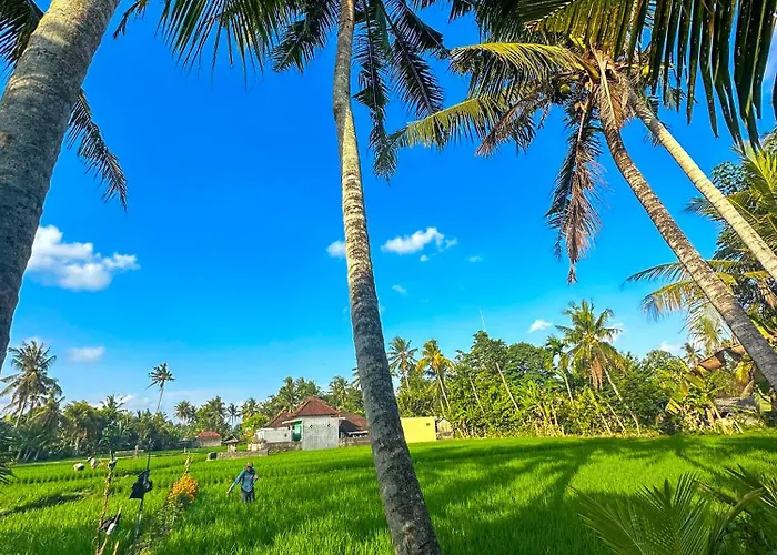 Nunu Bali Eco Friendly Retreat Hotel 4*