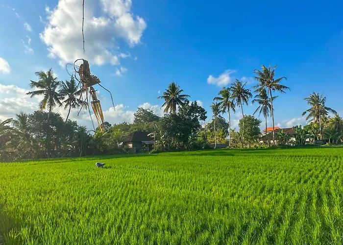 Hotel Nunu Bali Eco Friendly Retreat Canggu (Bali)